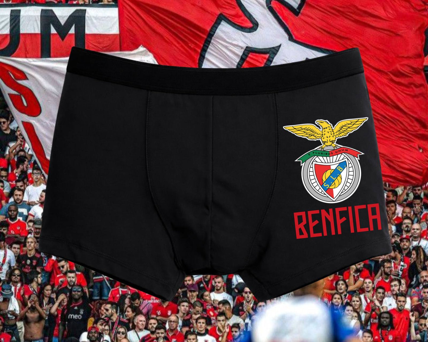 BOXER BENFICA