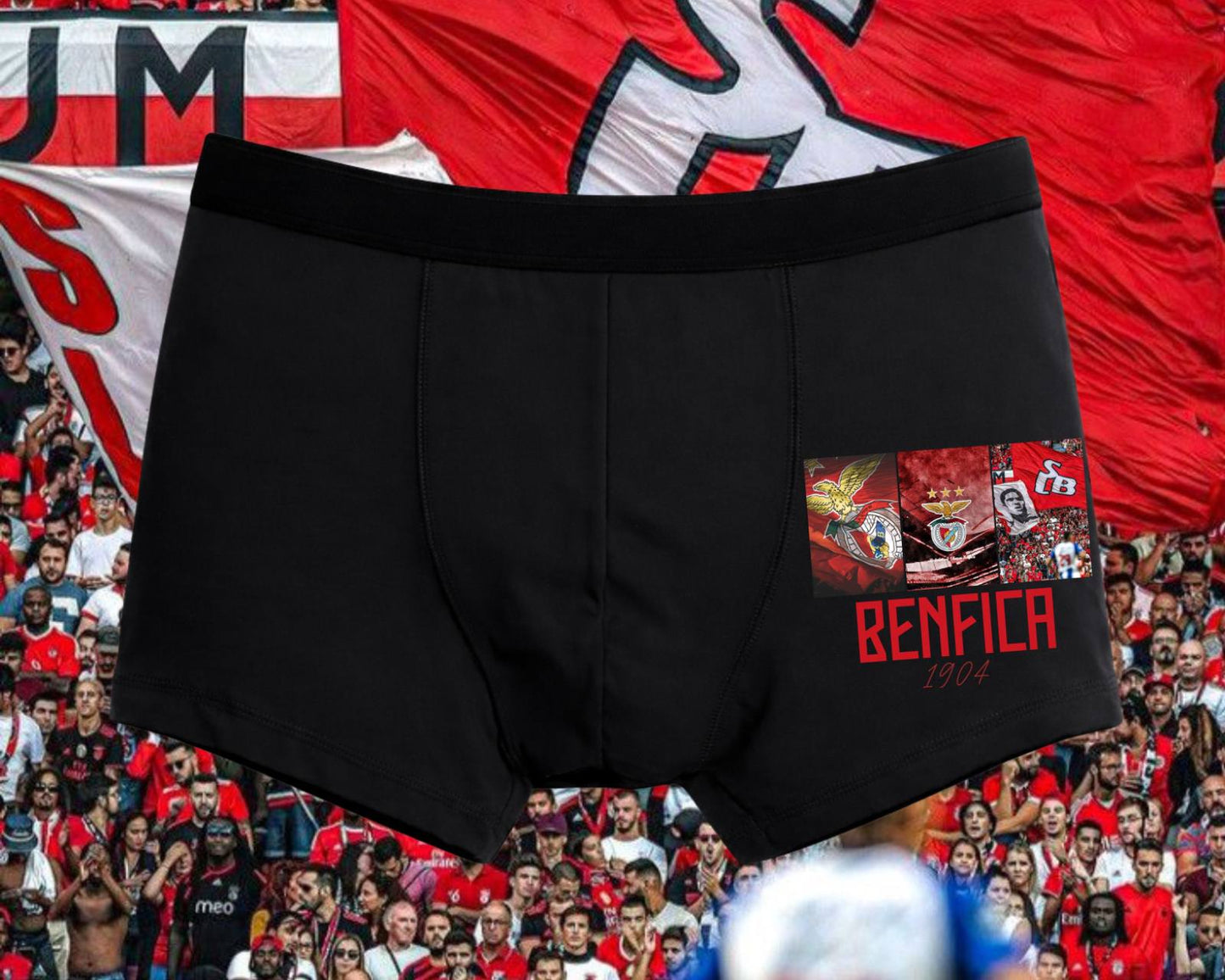 BOXER BENFICA