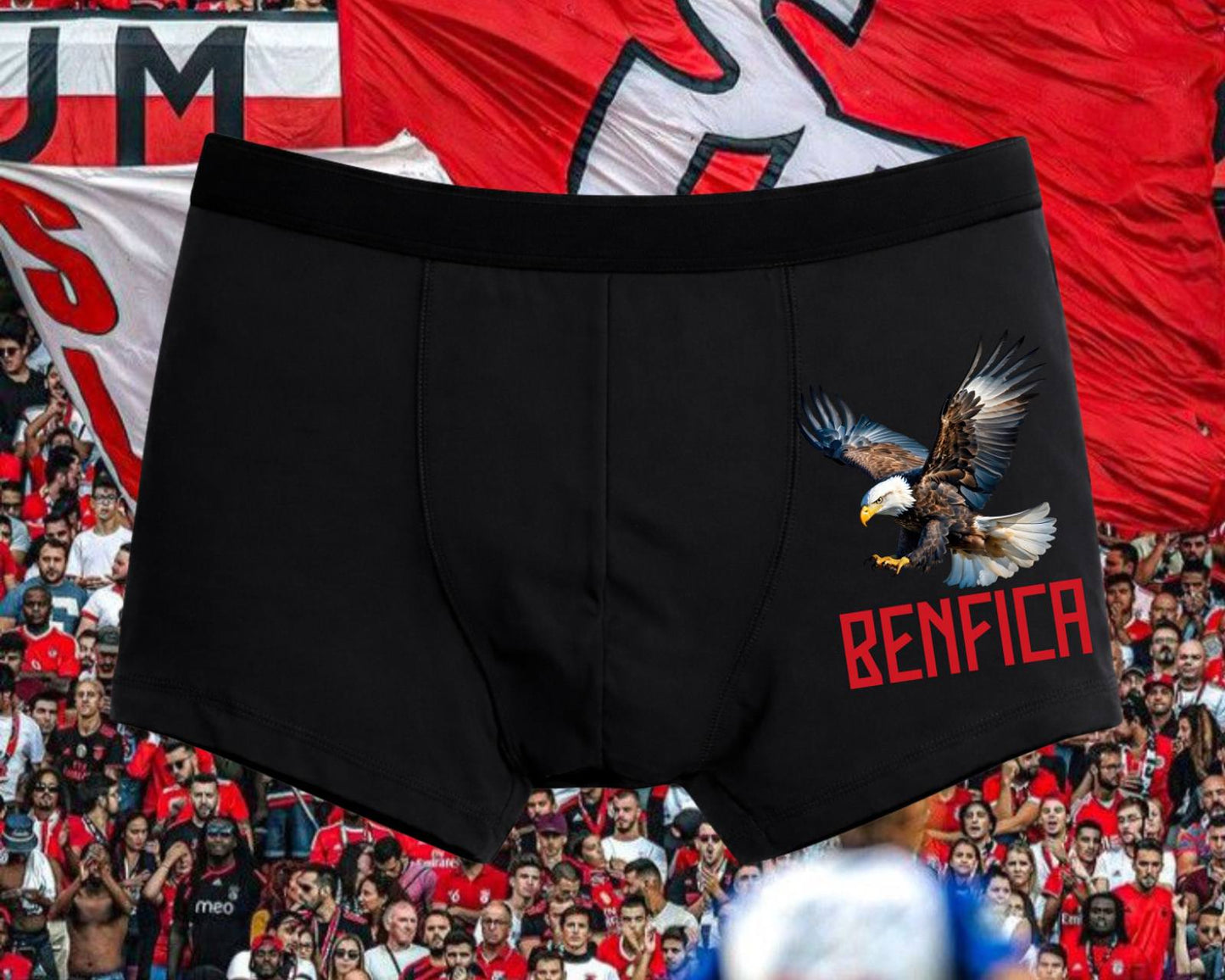 BOXER BENFICA