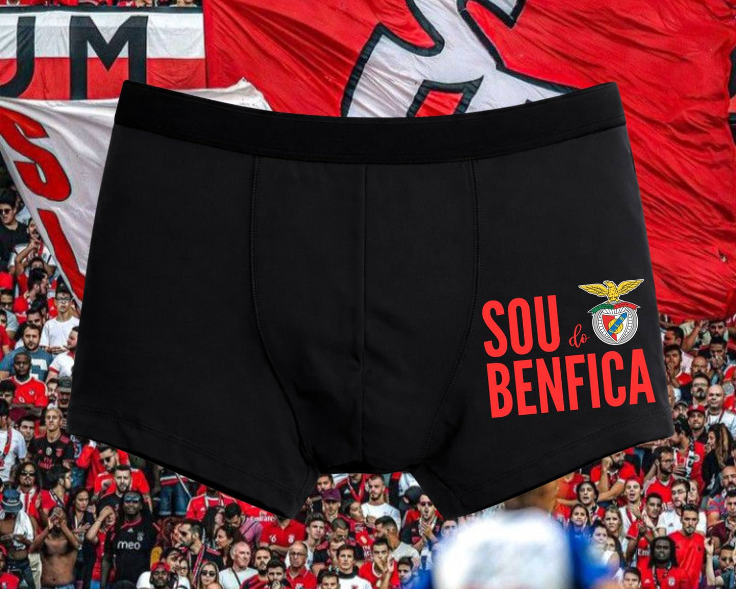 BOXER BENFICA
